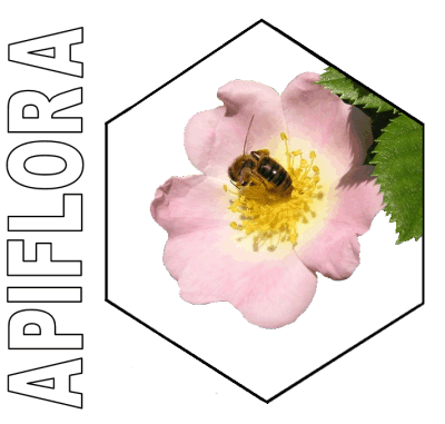 apiflora